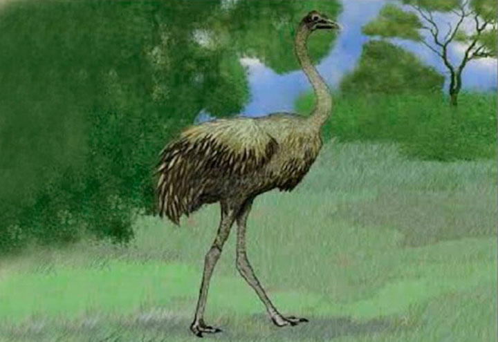 Tras la libélula Argentinala Cristinae, llega el ñandú Opisthodactylus kirchneri