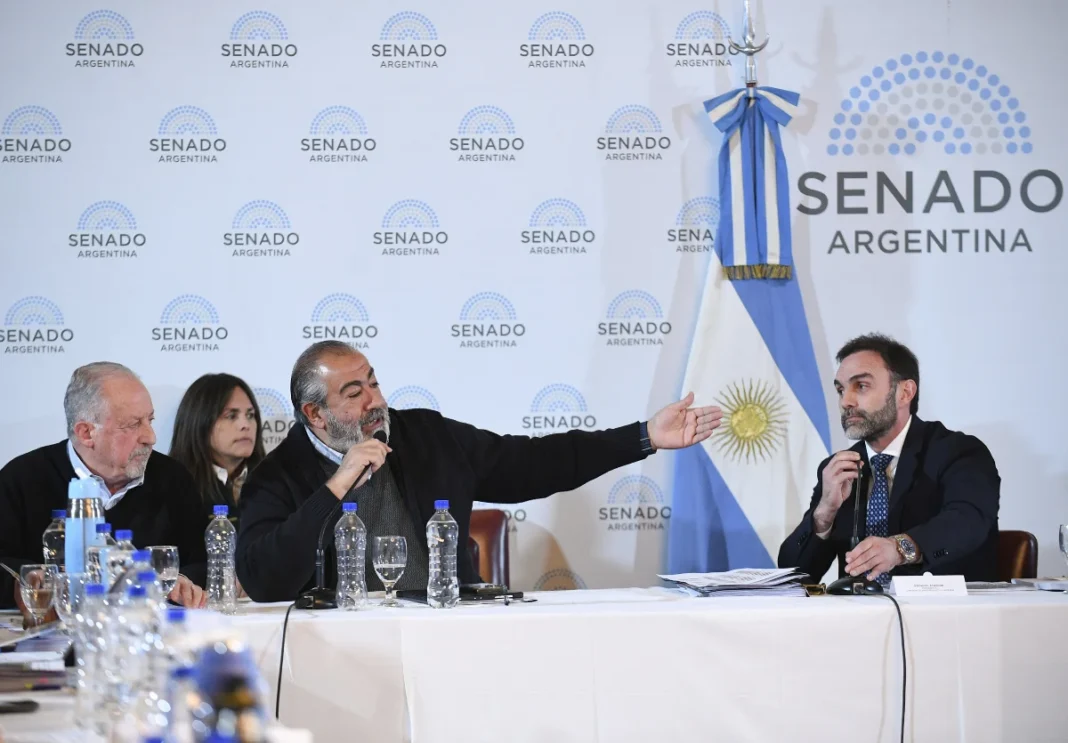 El Senado retoma el debate sobre la Ley de Bases - Foto: NA