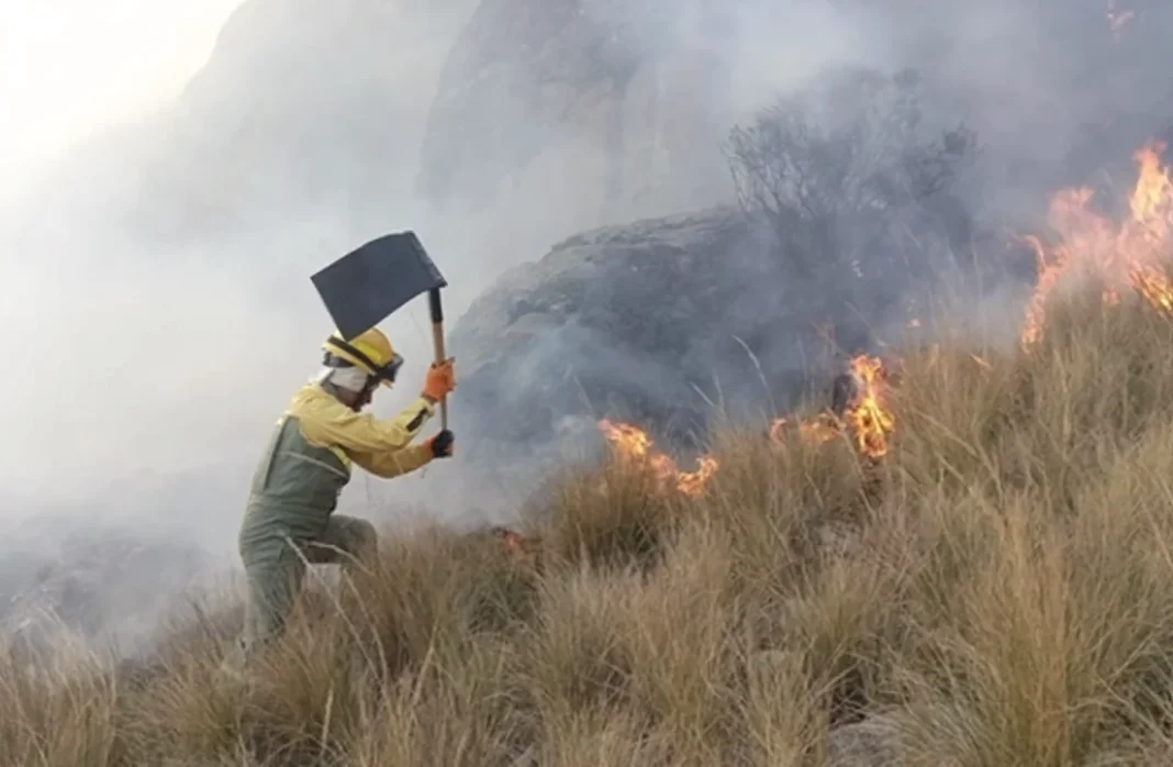 Perú combate incendios forestales que ya han causado 15 muertes