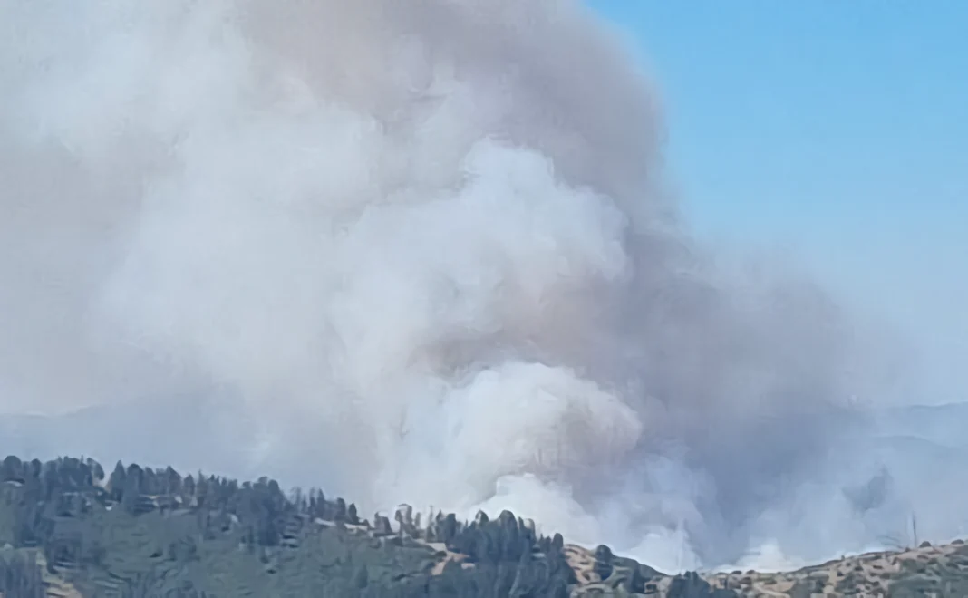 Alerta roja en Viña del Mar por incendio forestal